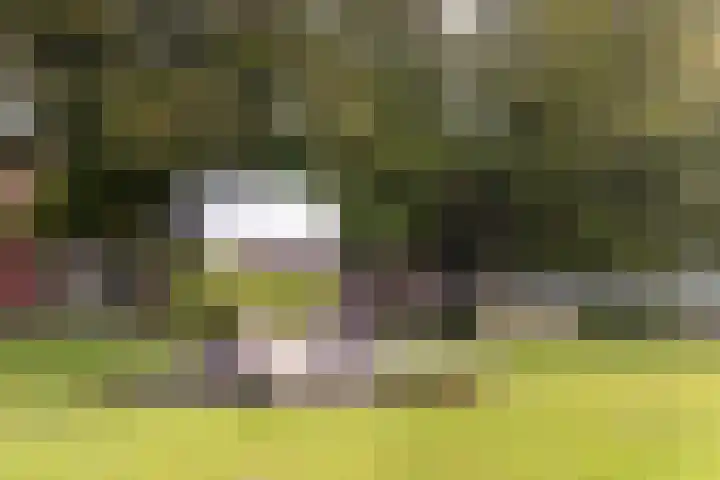 Châteletlaan 41 Vleuten thumbnail 60
