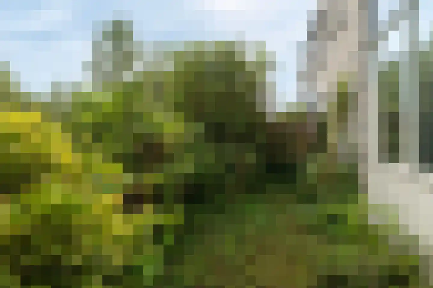 Ché Guevarastraat 21 Utrecht thumbnail 10