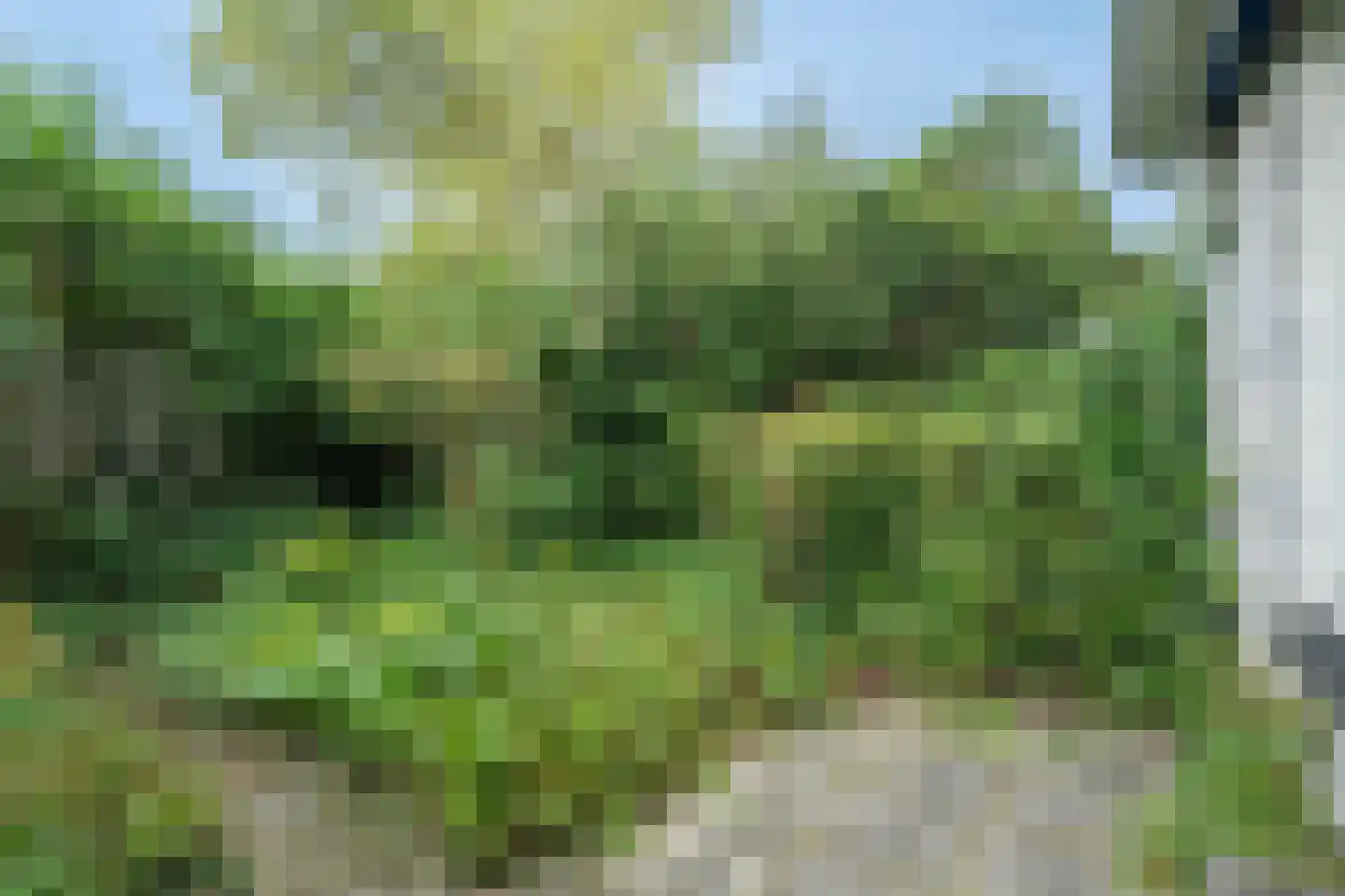 Ché Guevarastraat 21 Utrecht thumbnail 25