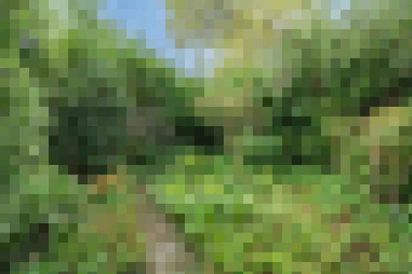 Ché Guevarastraat 21 Utrecht thumbnail 26