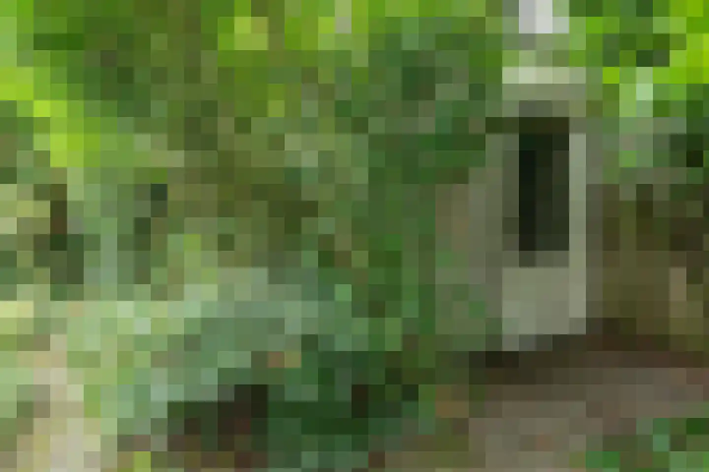 Ché Guevarastraat 21 Utrecht thumbnail 27