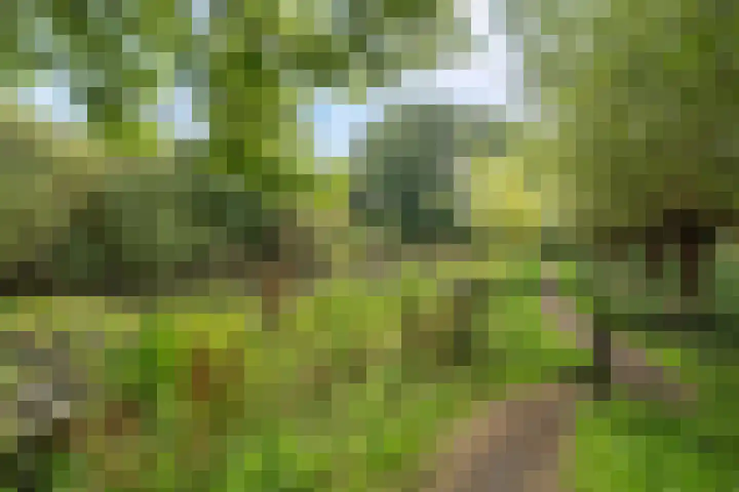 Ché Guevarastraat 21 Utrecht thumbnail 32