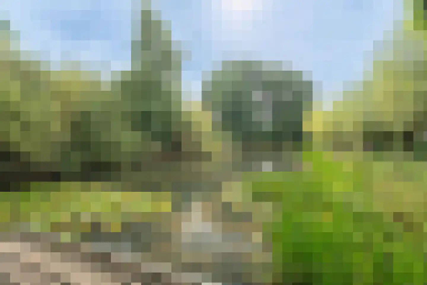 Ché Guevarastraat 21 Utrecht thumbnail 33
