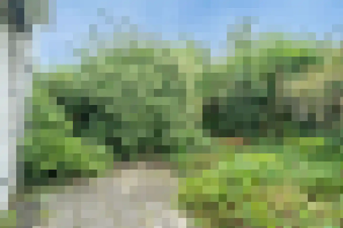 Ché Guevarastraat 21 Utrecht thumbnail 5