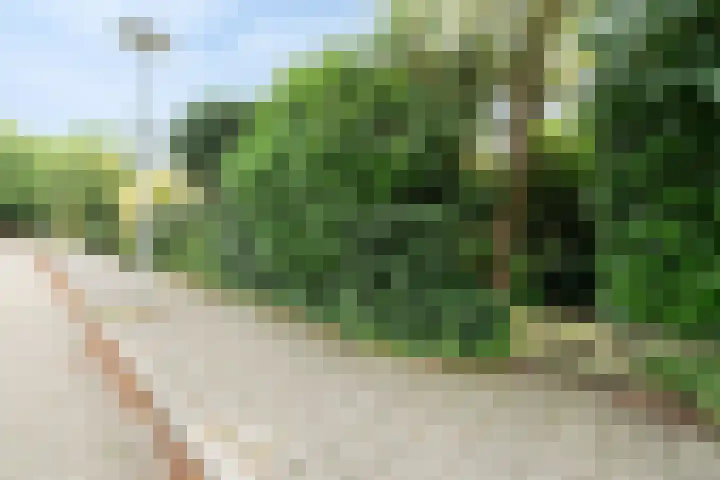 Ché Guevarastraat 21 Utrecht thumbnail 9