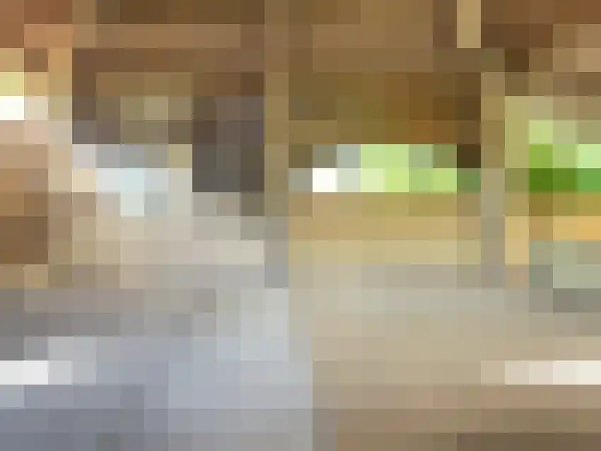 Chemin de la Buissonnerie 1700 Chevrieres 38160, Frankrijk thumbnail 21