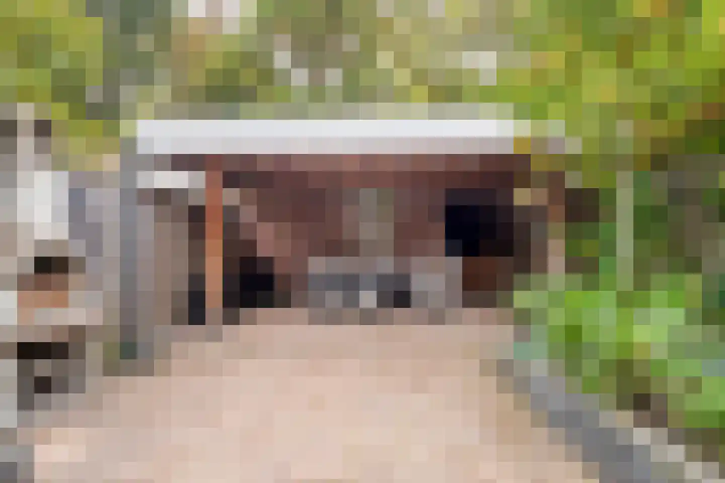 Cherbourglaan 22 Eindhoven thumbnail 26