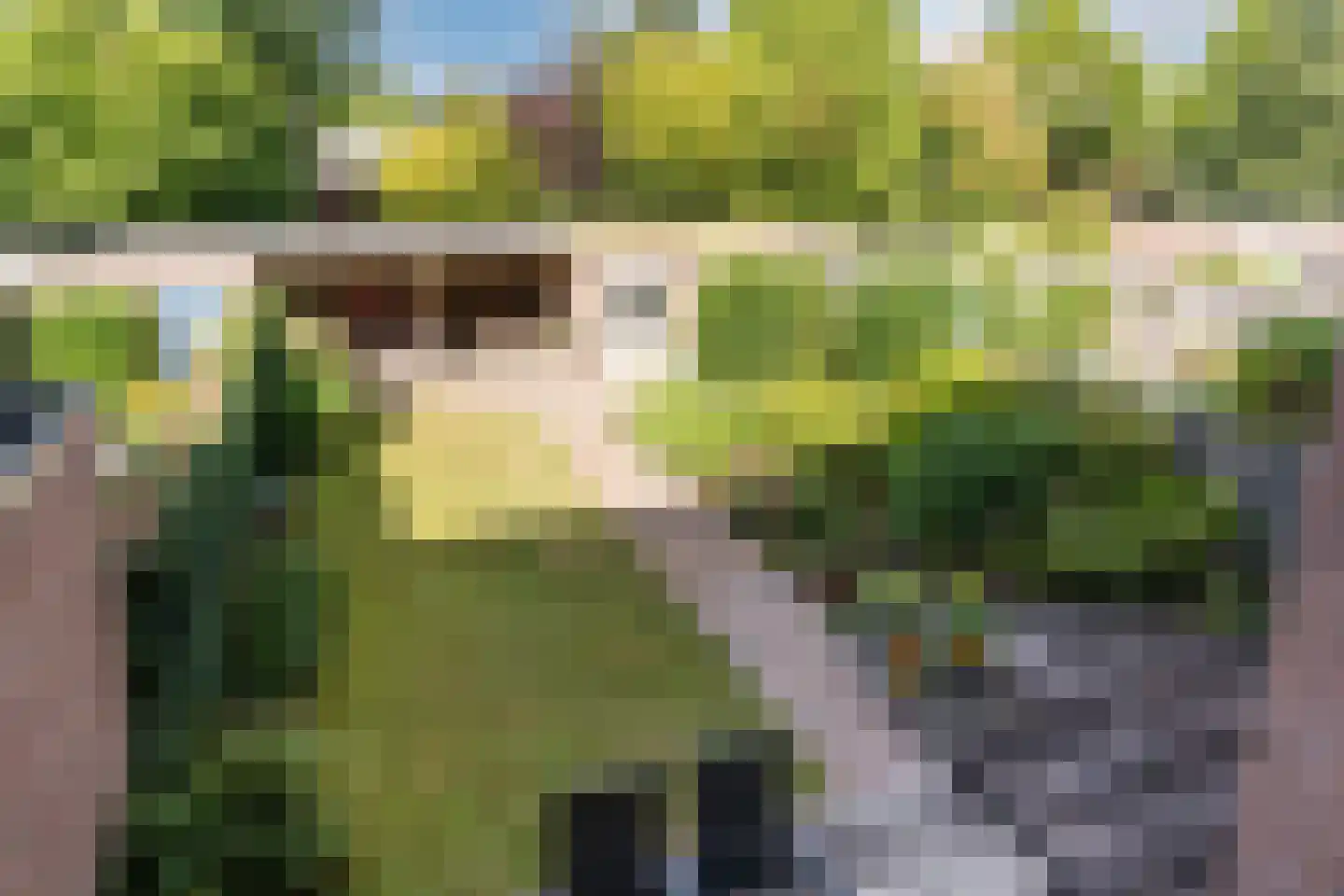 Cherbourglaan 31 Eindhoven thumbnail 28