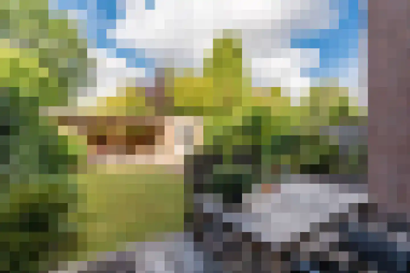 Cherbourglaan 31 Eindhoven thumbnail 29