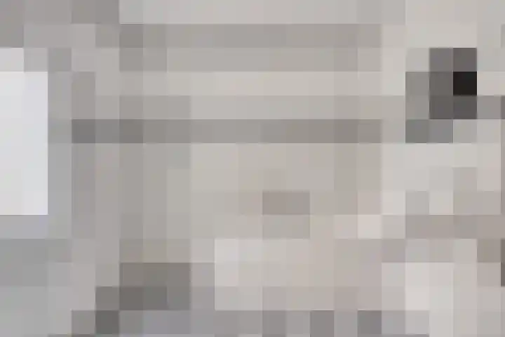 Cherbourglaan 52 Eindhoven thumbnail 18