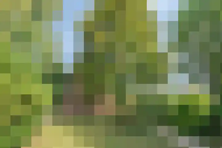 Cherbourglaan 52 Eindhoven thumbnail 33