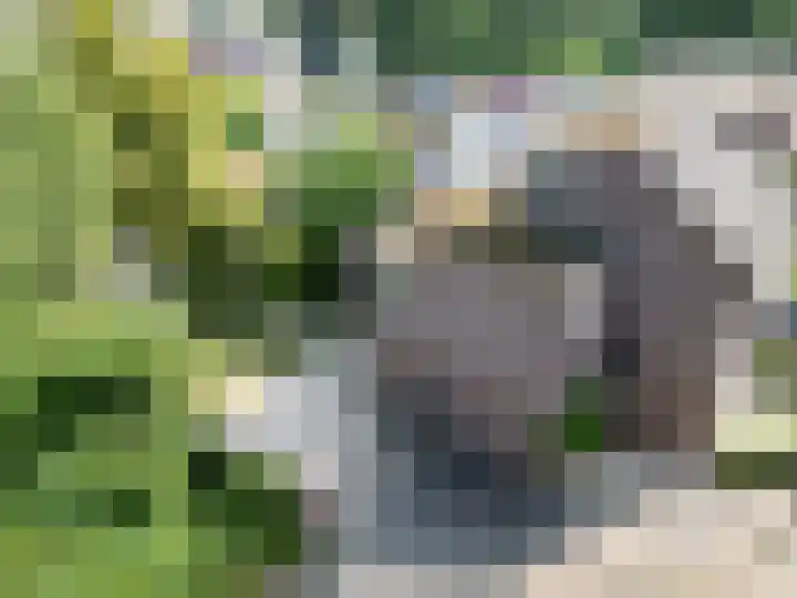 Cherbourglaan 52 Eindhoven thumbnail 4