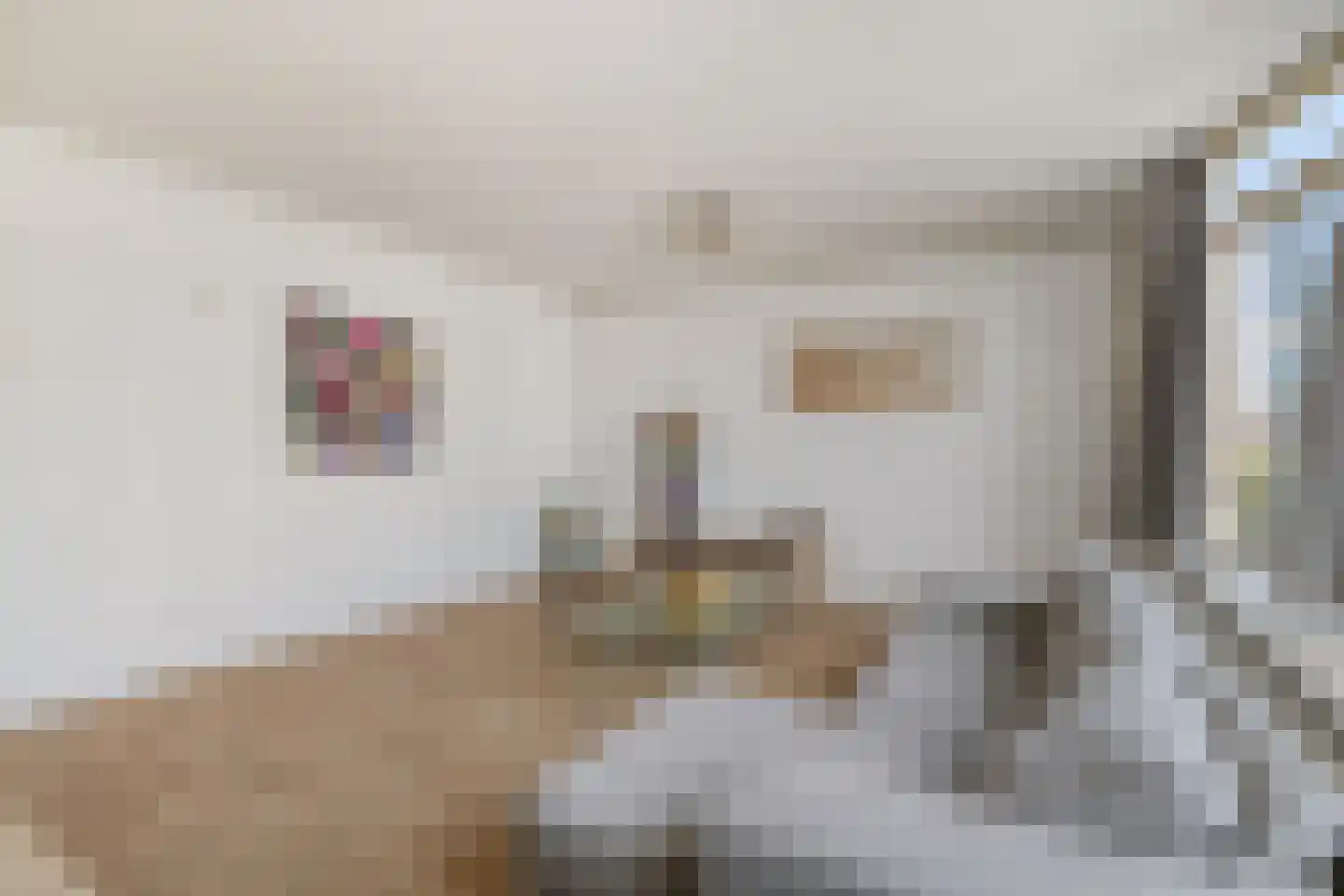 Chestertonlaan 186 Amsterdam thumbnail 15