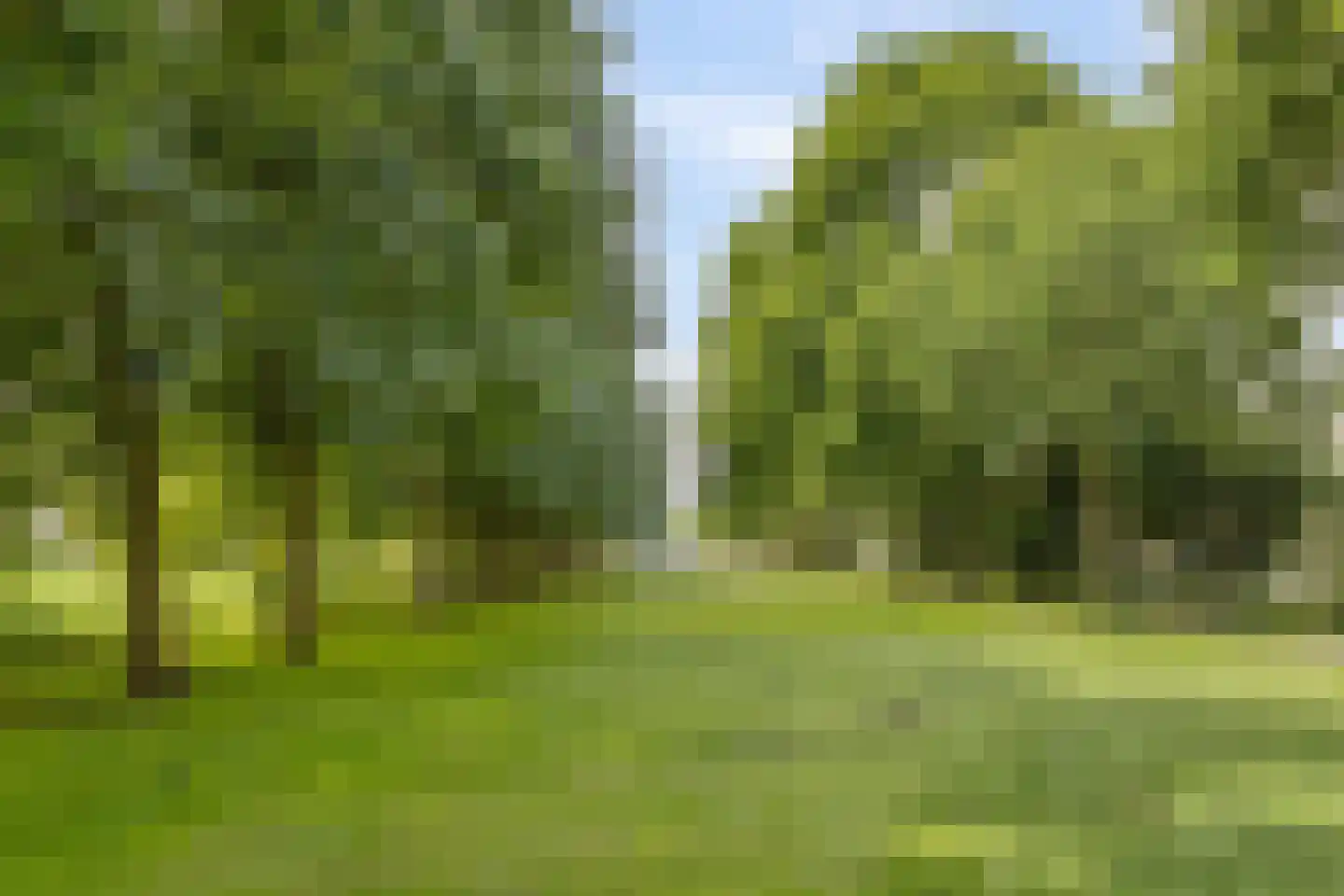 Chestertonlaan 186 Amsterdam thumbnail 35