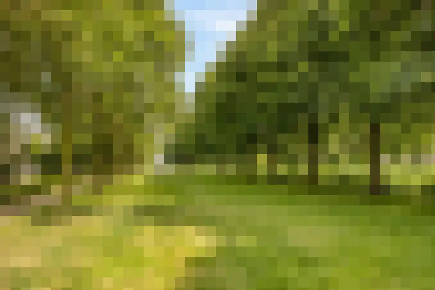 Chestertonlaan 186 Amsterdam thumbnail 36