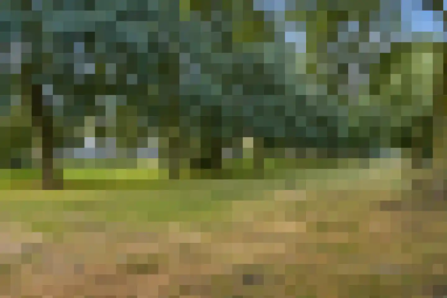 Chestertonlaan 213 Amsterdam thumbnail 15