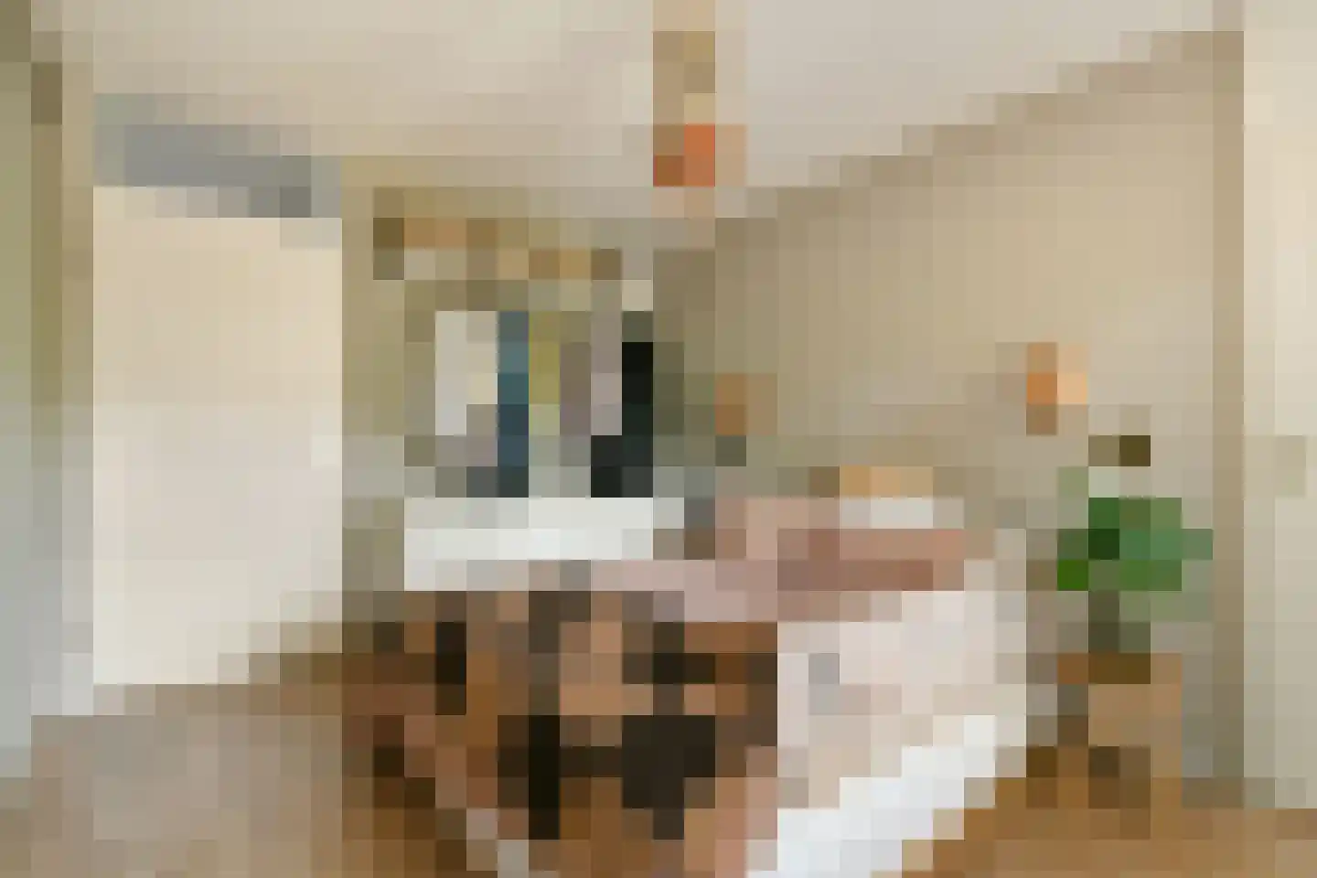 Chestertonlaan 25 Amsterdam thumbnail 10