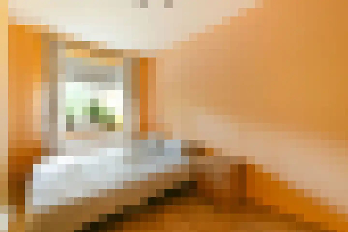 Chestertonlaan 25 Amsterdam thumbnail 14