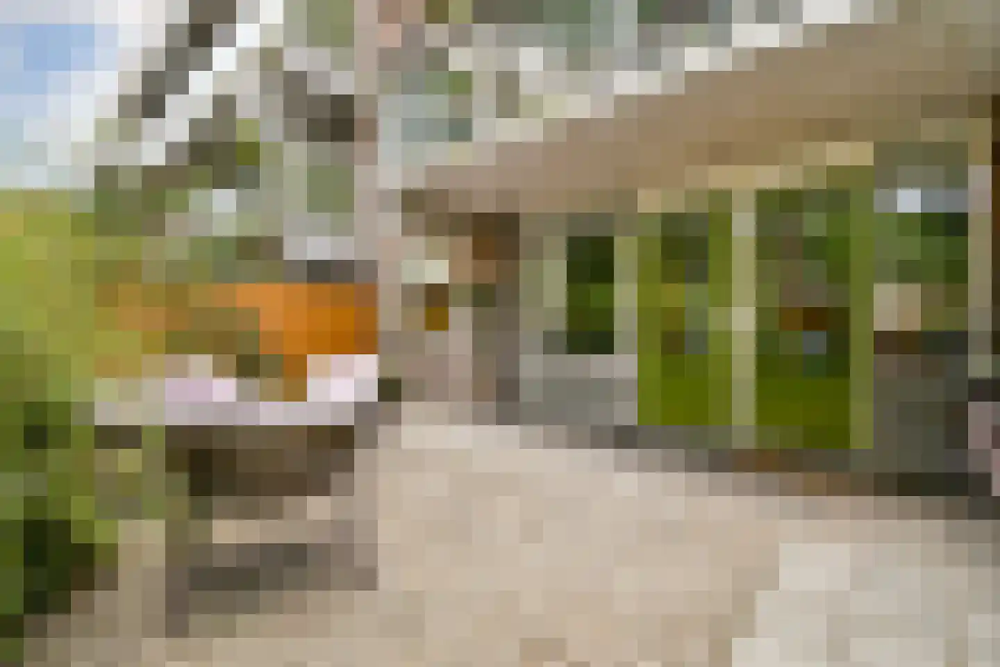 Chestertonlaan 25 Amsterdam thumbnail 4