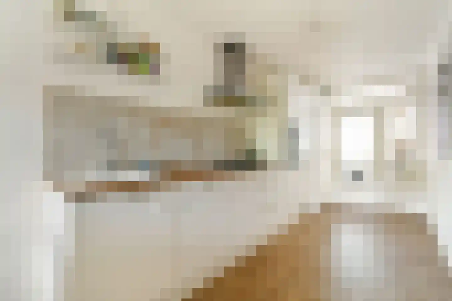 Chestertonlaan 25 Amsterdam thumbnail 6