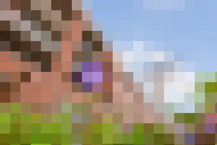 Chestertonlaan 52 Amsterdam thumbnail 20