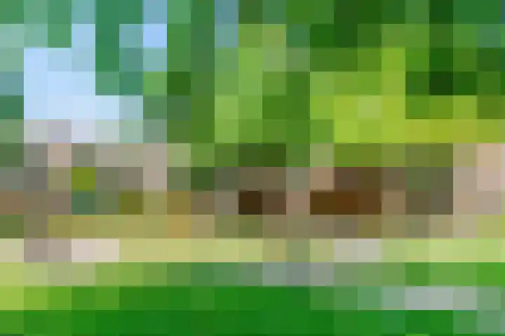 Chestertonlaan 73 Amsterdam thumbnail 28