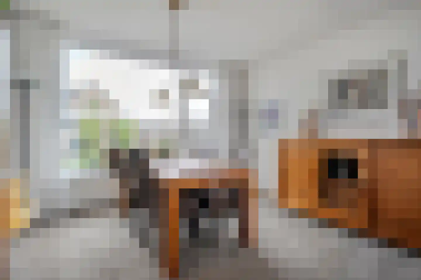 Chevalleraustraat 23 Ommen thumbnail 20