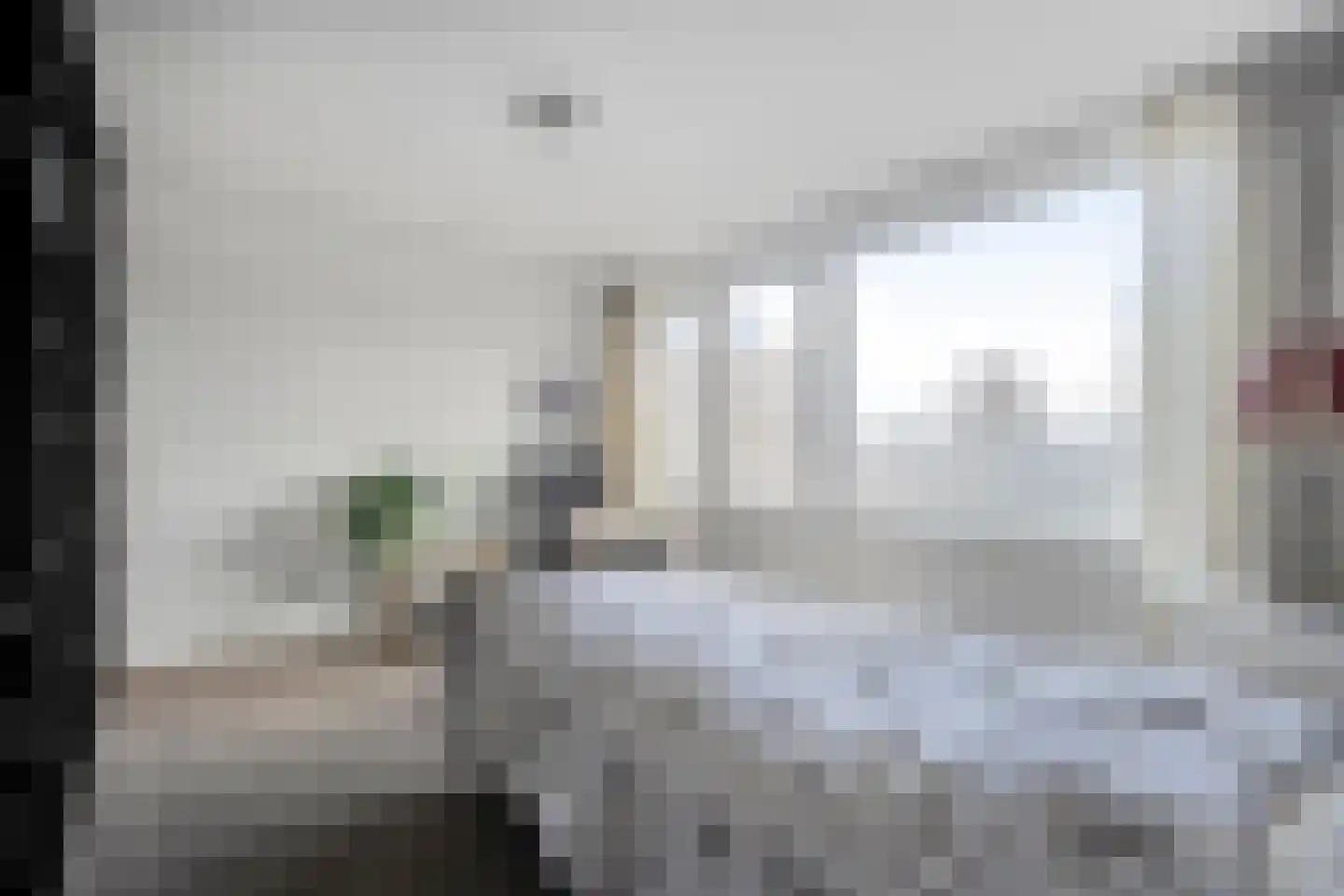 Chevalleraustraat 23 Ommen thumbnail 32