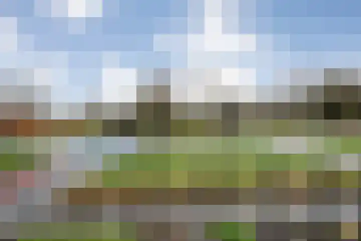 Chevalleraustraat 23 Ommen thumbnail 34