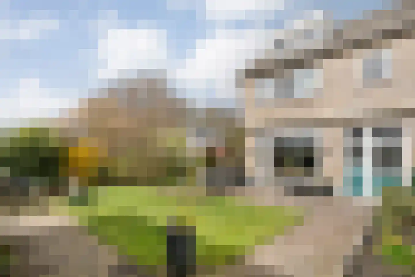 Chevalleraustraat 23 Ommen thumbnail 49