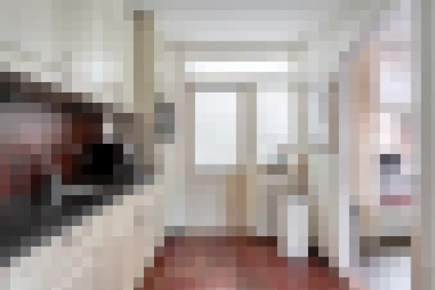 Chevalleraustraat 3 Ommen thumbnail 10