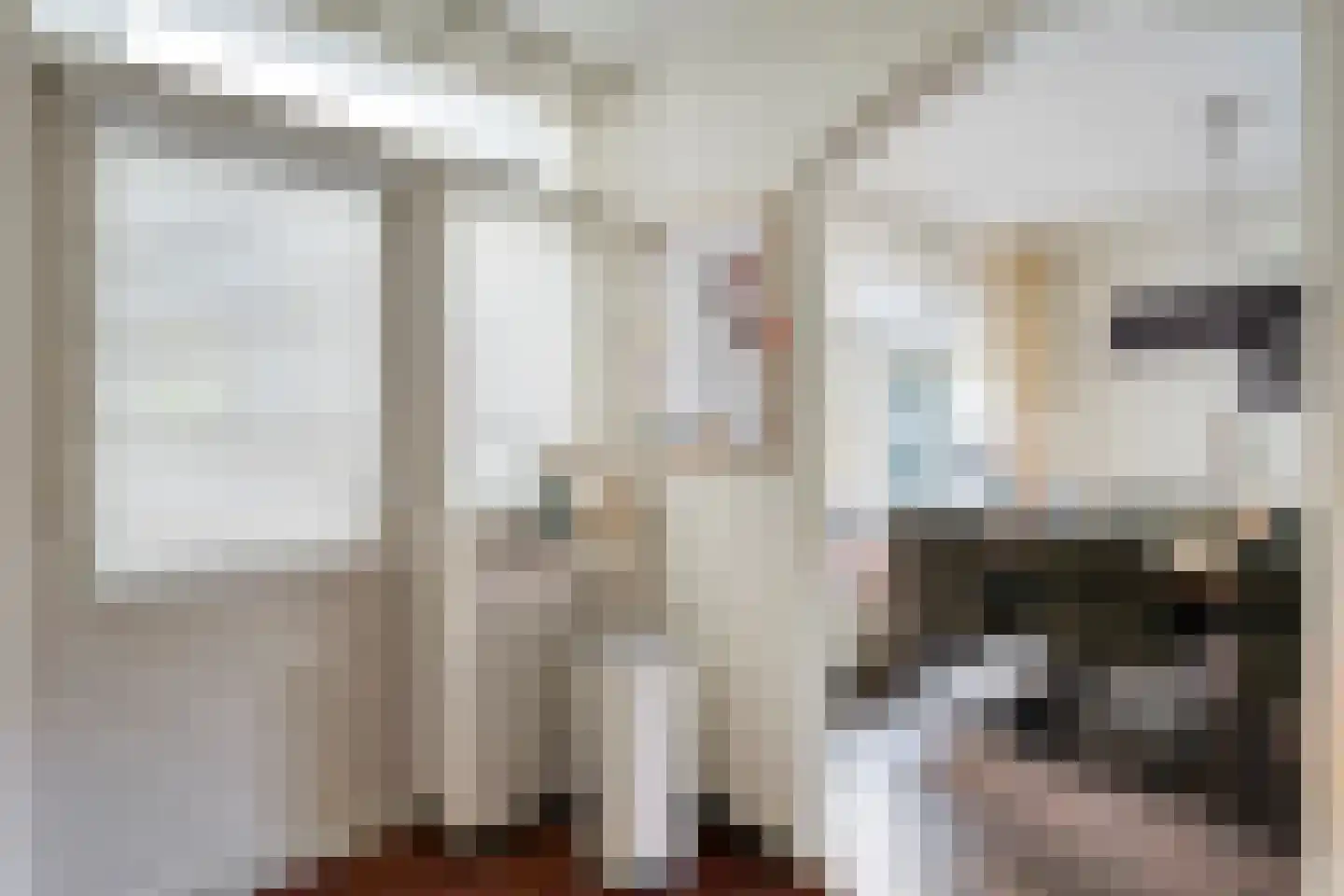 Chevalleraustraat 3 Ommen thumbnail 11
