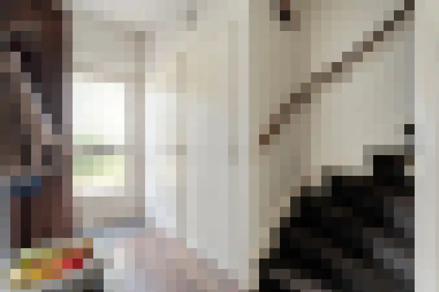 Chevalleraustraat 3 Ommen thumbnail 18