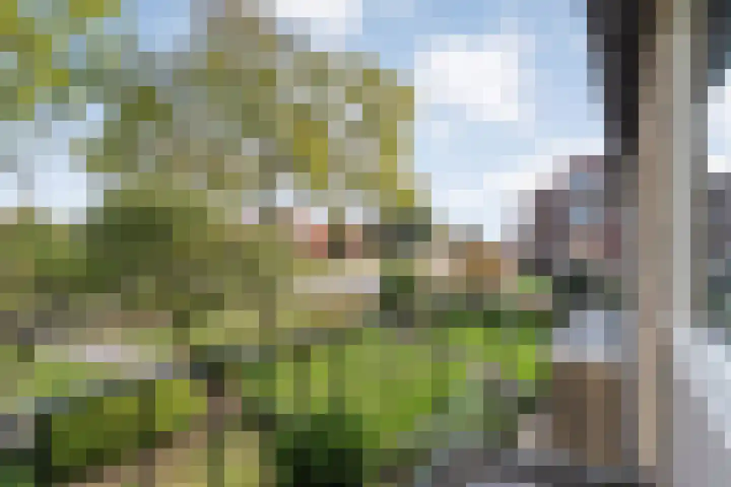Chevalleraustraat 3 Ommen thumbnail 25