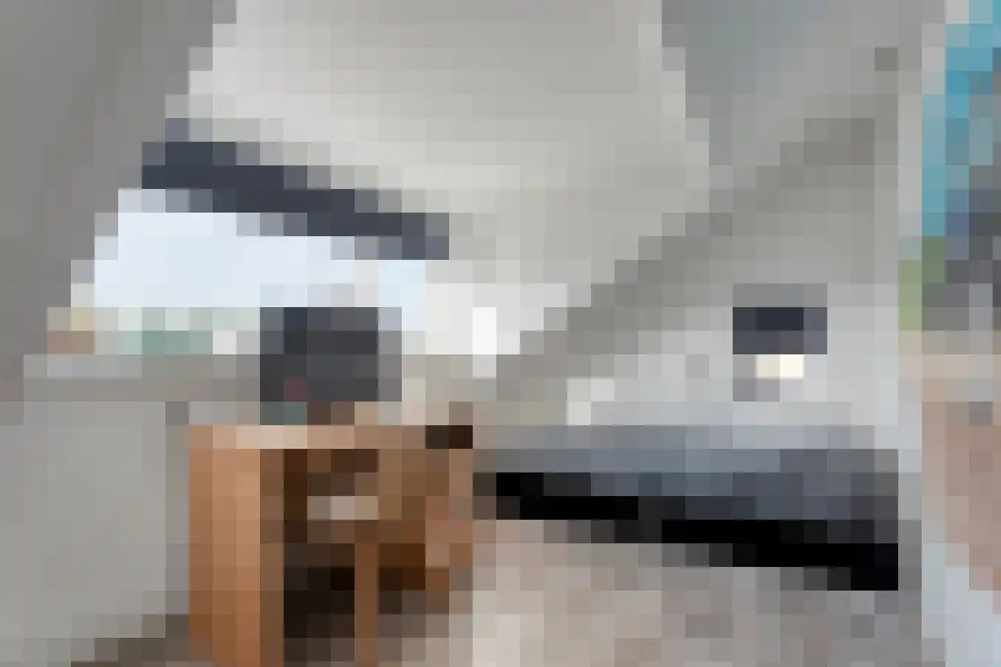 Chevalleraustraat 3 Ommen thumbnail 35