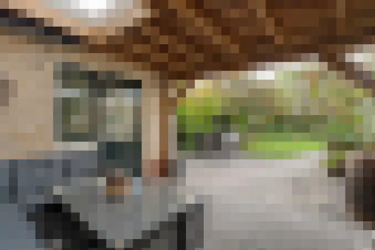 Chevalleraustraat 3 Ommen thumbnail 40
