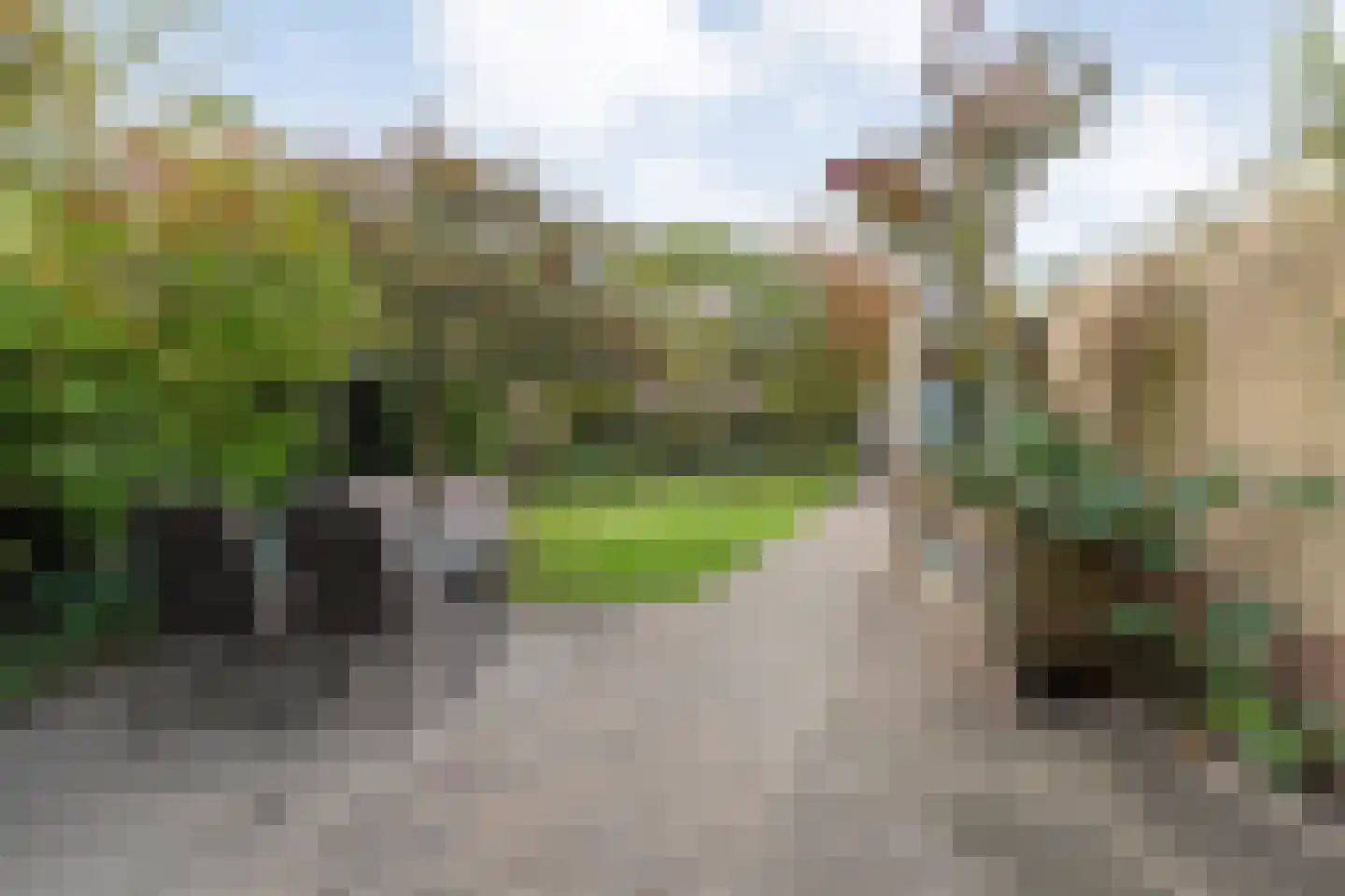Chevalleraustraat 3 Ommen thumbnail 41