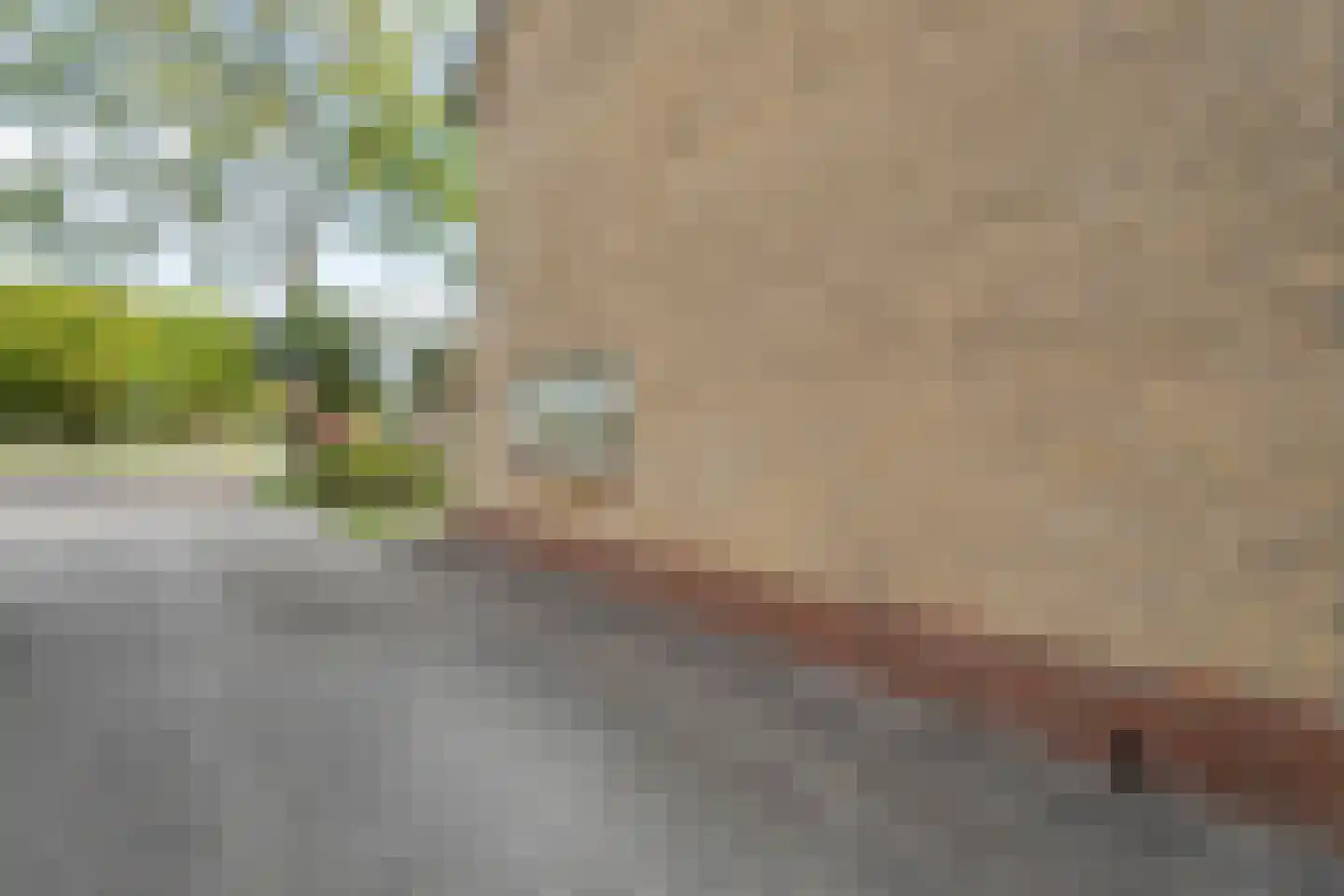 Chevalleraustraat 3 Ommen thumbnail 47