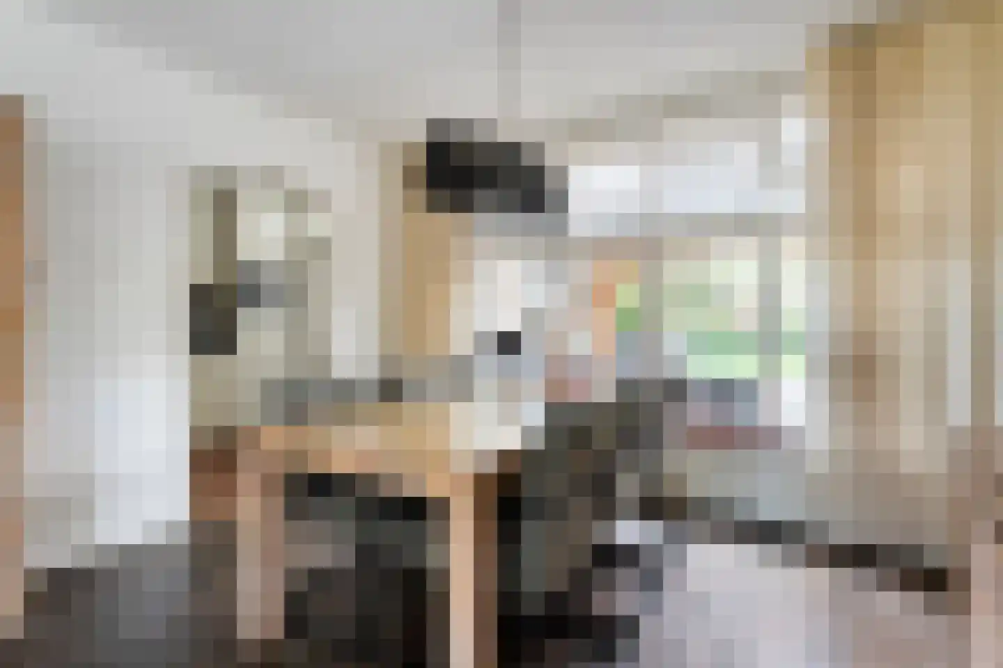 Chevalleraustraat 3 Ommen thumbnail 7