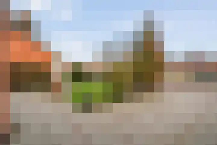 Chevalleraustraat 93 Ommen thumbnail 42