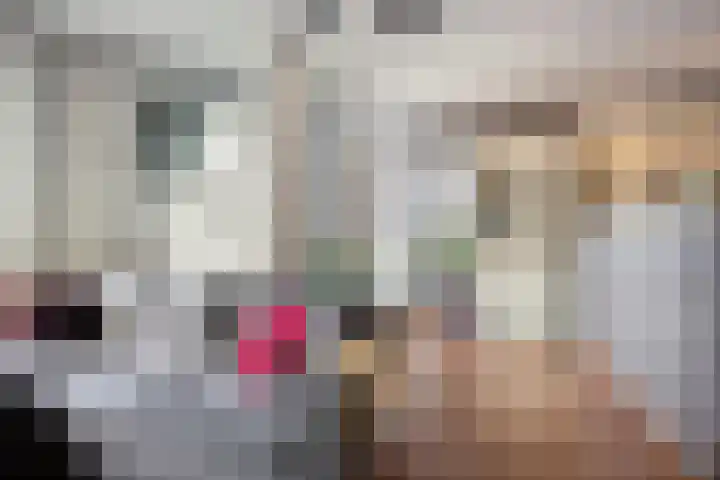 Cheviotstraat 18 Tilburg thumbnail 17