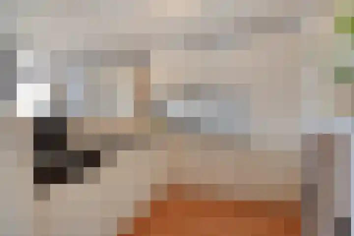 Cheviotstraat 18 Tilburg thumbnail 23