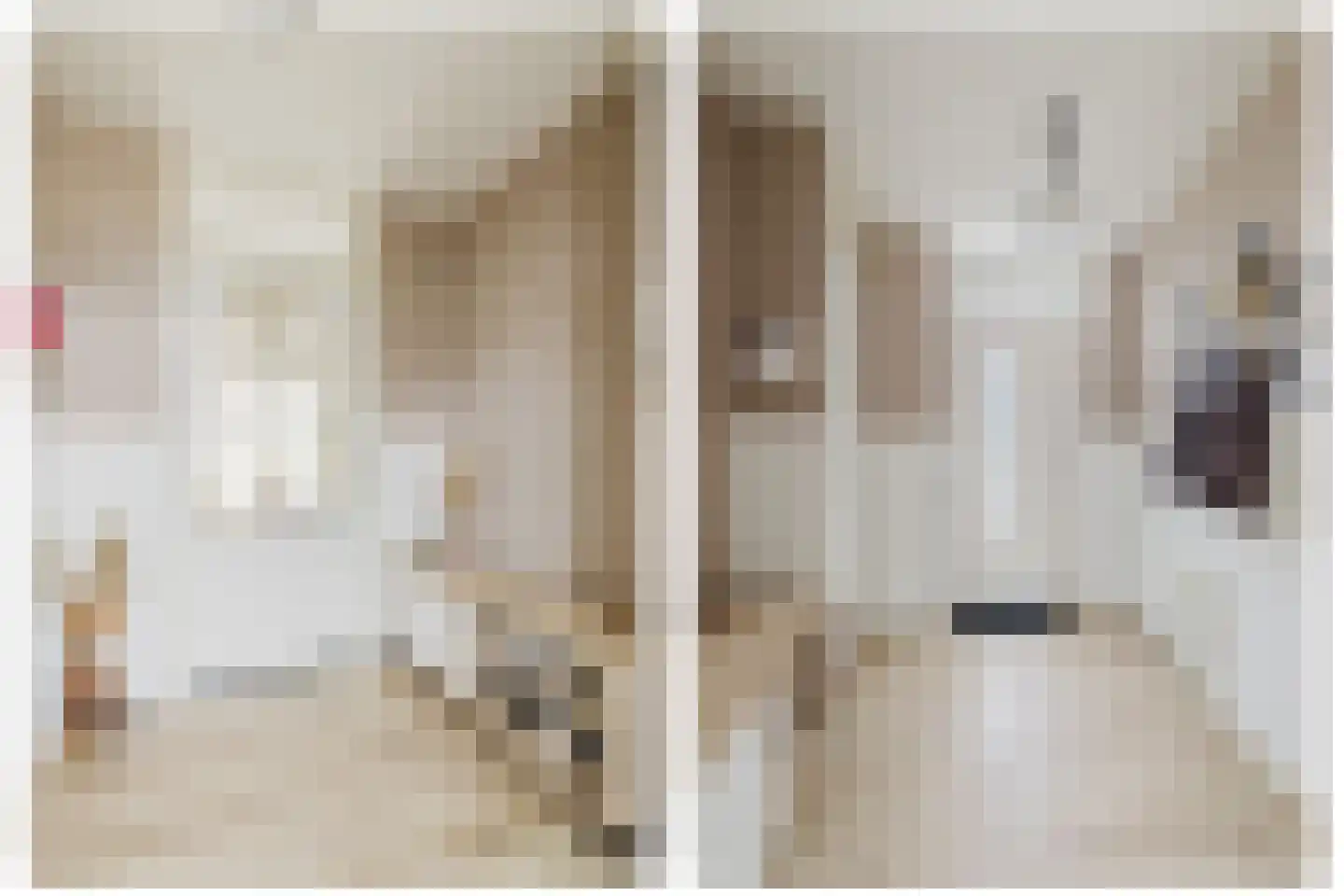 Cheviotstraat 4 Tilburg thumbnail 10