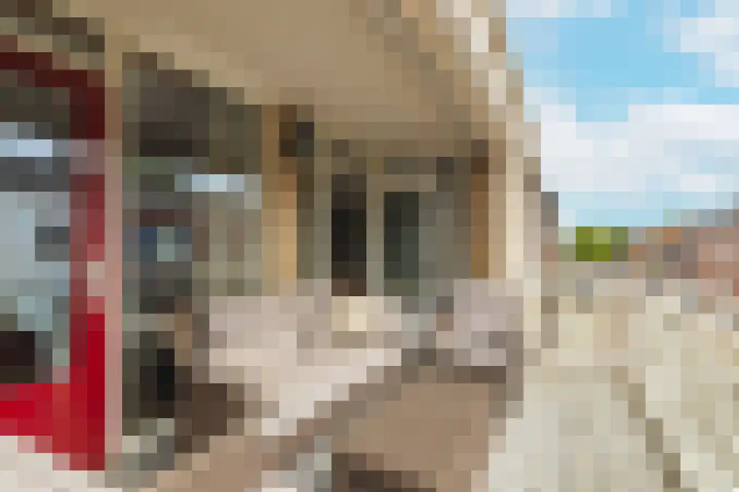 Cheviotstraat 4 Tilburg thumbnail 30