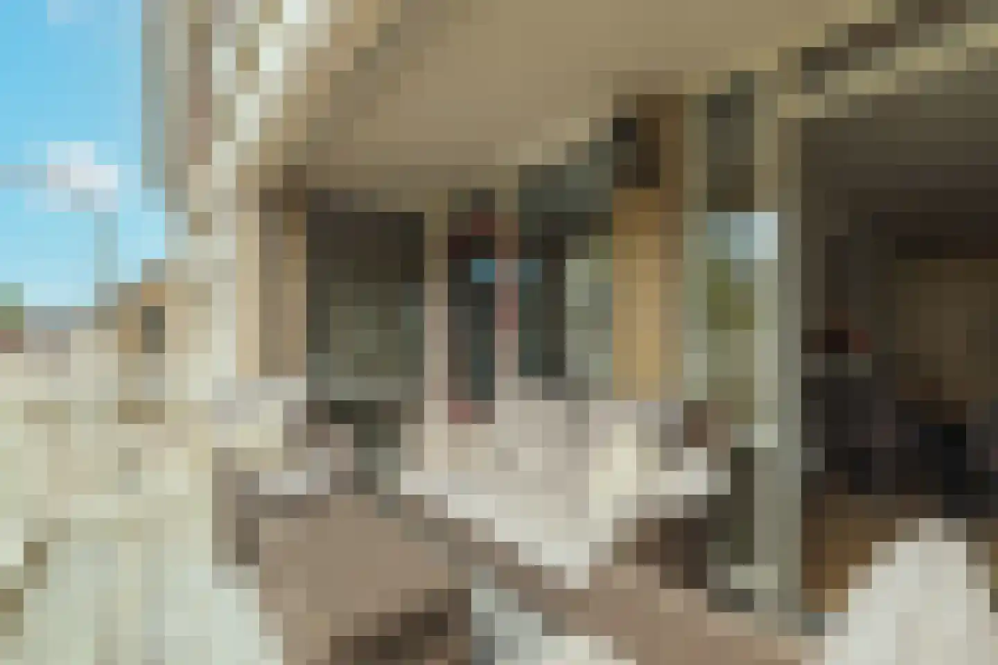 Cheviotstraat 4 Tilburg thumbnail 31