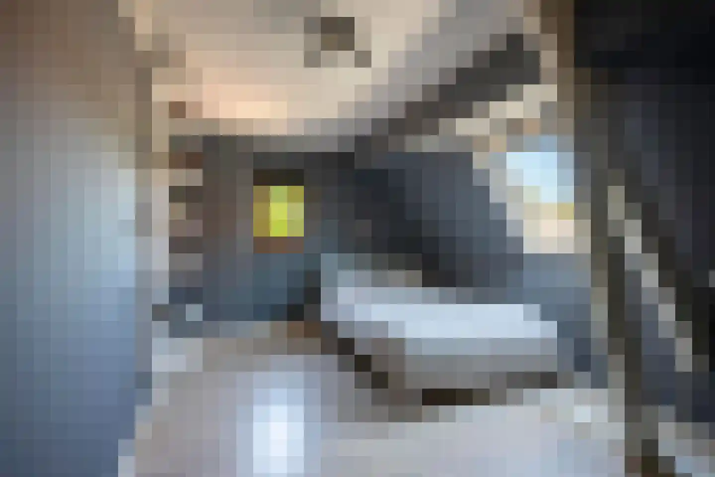 Chevremontstraat 41 Kerkrade thumbnail 18
