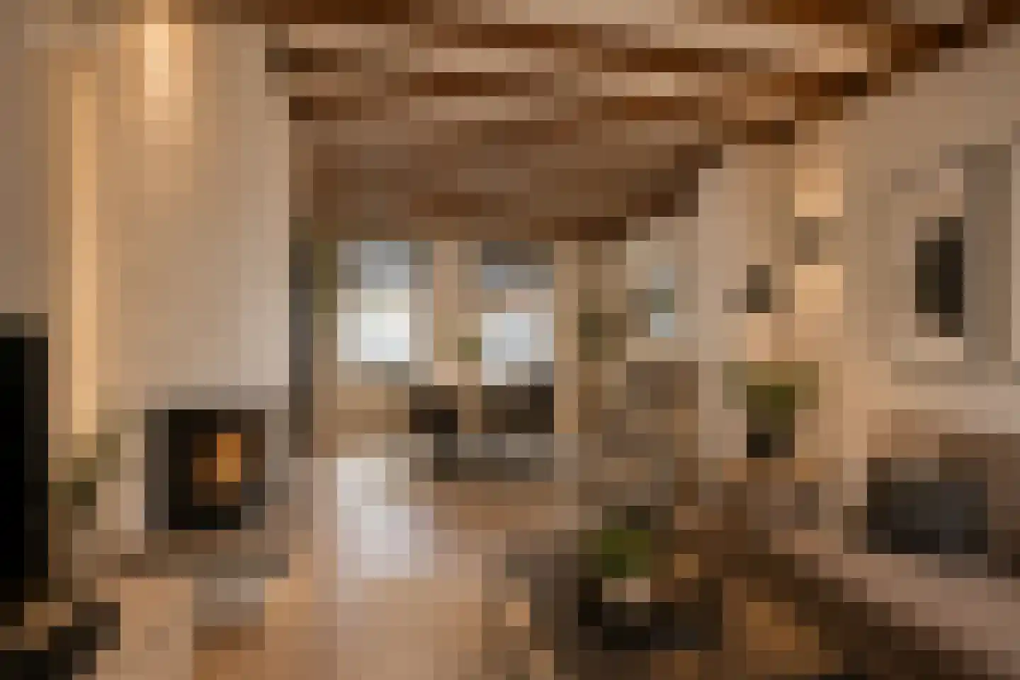 Chevremontstraat 43 Kerkrade thumbnail 42