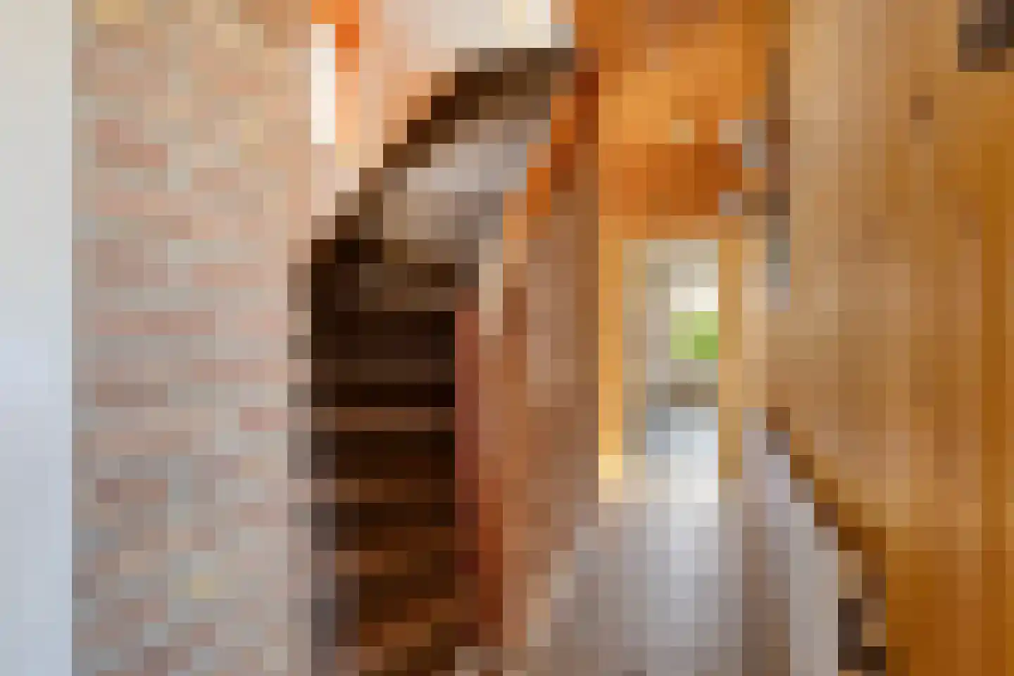 Chevremontstraat 43 Kerkrade thumbnail 7