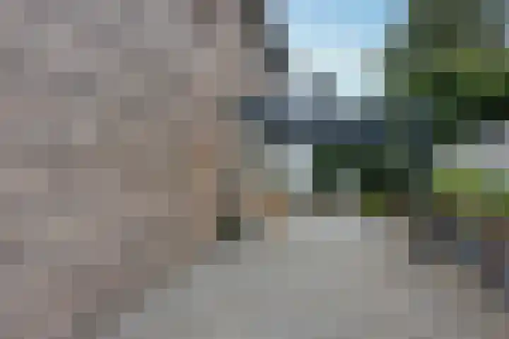 Chevremontstraat 65 Kerkrade thumbnail 26