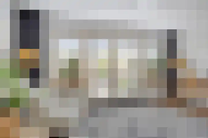 Chico Mendesring 246 Dordrecht thumbnail 6